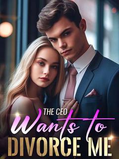 The CEO wants to divorce me