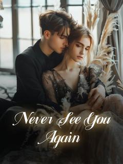 Never See You Again
