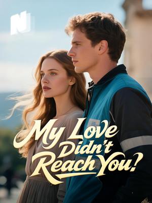 My Love Didn't Reach You