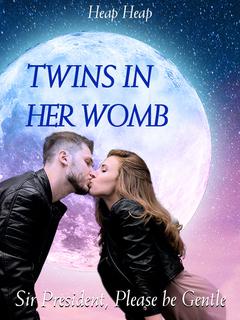 Twins in Her Womb: Sir President, Please be Gentle