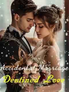 Accidental Marriage, Destined Love