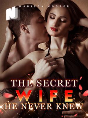 The Secret Wife He Never Knew