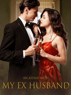 An Affair With My Ex Husband