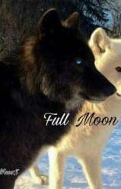 Full Moon