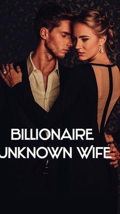 The Billionaire unknown wife