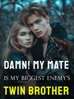 Damn! My Mate Is My Biggest Enemy's Twin Brother